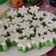 Cooksnap dari Mai Sari untuk resep Kue putu ayu empuk dan lembut