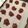 mandrukaitis's cooksnap of when they made Peanut Butter, Coconut and Chocolate NO BAKE Cookies.