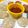 Arya Paradkar का कुकस्नैप जब उन्होंने स्टीम और फ्राइड सोया मोमोस (Steam or Fried Soya Momos recipe In Hindi) बनाया था।