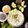 Bethica Das's cooksnap of when they made My Style Tzatziki (Greek style Cucumber and Yoghurt Salad).