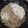 El cooksnap de marina_esparo_mas cuando hizo Macarrones al roquefort.