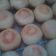Cooksnap dari Umm.Fath Kitchen untuk resep Bakpia rapuh dan renyah isi kacang hijau