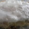 El cooksnap de Luciana Varela cuando hizo Lemon Pie 🍋 Fácil y Económico! 😊😄.