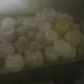 Cooksnap của Linh Nguyen khi họ làm theo món Bánh phục linh (Tapioca coconut melting cookie)