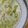 Cooksnap από Christie Alopix στη συνταγή Σούπα μπρόκολο - πατάτα - τυρί