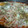 El cooksnap de Olga Moreno cuando hizo Pizza de patata.