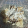 Cooksnap dari Indah Mulya untuk resep Kue Sarang Laba-Laba