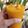 Preeti Sahil Gupta का कुकस्नैप जब उन्होंने फ्रेश मैंगो जूस विथ ड्राई फ्रूट्स (Fresh Mango juice with dry fruits recipe in hindi) बनाया था।