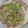 Cau Hai's cooksnap of when they made Cải dún, đậu cove, ớt chuông xào thịt heo nạc.