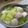 阿文 的 2Meow▶入口即化「大黃瓜排骨湯」 cooksnap