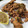 Anamta Azeem's cooksnap of when they made Pyaz pakora.