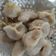 Cooksnap dari Fadil's Kitchen untuk resep Pempek Ikan Tenggiri
