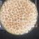 El cooksnap de antonella cuando hizo Lemon pie!.