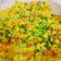 Cooksnap của Phan Bao Van khi họ làm theo món Cơm chiên rau củ