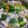 Cooksnap dari 淡紫色的天空 untuk resep Sop Sayur Baso Tahu Putih