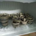 Cooksnap dari aprielyea untuk resep Cheese cake lumer sederhana