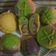 Cooksnap dari Laely ch untuk resep Steamed Cheddar Cheese Cake (#pr_recookanekabolkus)