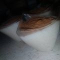 El cooksnap de Daniynoelia Casado Ferrer cuando hizo Arroz con leche.