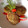 El cooksnap de Chefi Martinez cuando hizo Tortas de berenjenas fritas a la Caprese.