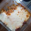 Cooksnap dari bupericantik untuk resep Salmon Mentai Shirataki Keto