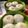 Cooksnap dari Nana Lukita Sari untuk resep 18.2019.Bakpao Lembut (tanpa tepung Pao)