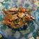 Cooksnap dari nur. adaniati untuk resep Ikan asin tumis cabe