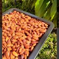 Cooksnap dari Leylita Kesty Hardjiyantie untuk resep Almond panggang madu