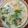 Cooksnap dari suwarti untuk resep Sayur bobor daun jipang(daun labu siam) dan wortel