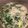 Cooksnap dari Restu Putri Pamungkas untuk resep Gulai daun singkong (bobor)