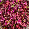 صورة من سالي ، شاركها بعد تجربة وصفة سلطة اللهانه او يسمو الملفوف