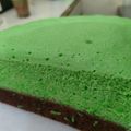Cooksnap dari Arifiati untuk resep Brownis kukus coklat pandan ekonomis