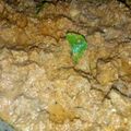 Cooksnap dari Nella Nuraena untuk resep Sate Goreng