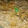 Cooksnap dari Nella Nuraena untuk resep Sate Goreng