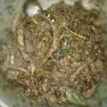 Cooksnap dari VALEN PANDU untuk resep Ayam bumbu rw