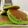 Cooksnap dari anindyaniya untuk resep Fluffy Pancake