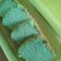Cooksnap dari Nelly Yunitha untuk resep Cake pandan putih telur