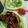Cooksnap dari nuniek untuk resep 11.#4 Ayam Bakar