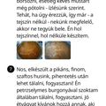 Zsuzsa Soltne Biro Cooksnap-ja, amikor elkészítette a(z) Töltött káposzta receptet.