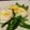 Jonni8's cooksnap of when they made Asparagus and Eggs.