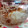El cooksnap de Miriam Sifre Fuentes cuando hizo Cheesecake en vasitos con galletas lotus.