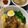 Cooksnap dari Bud Tan untuk resep Mie Pangsit Siantar