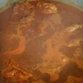 El cooksnap de Bianca Lynn White Rose cuando hizo Pollo en adobo.