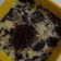 Cooksnap dari Fenny Sabrinastian untuk resep Puding Alpukat Oreo