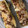 El cooksnap de TereBx cuando hizo Calabacín relleno de carne picada.