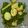 Cooksnap dari Marcella Violinist untuk resep Sayur godog (lontong sayur)