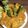 Barnali Debdas's cooksnap of when they made দই চিকেন (Doi Chicken recipe in Bengali).
