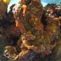 Cooksnap dari Ayu chandra untuk resep Ayam bumbu rujak
