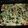 kcwaymer's cooksnap of when they made Bodyrocker's Healthy Veggie Quiche.