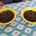 El cooksnap de Mateu Mir cuando hizo Fideuá negra con calamares con Thermomix.
