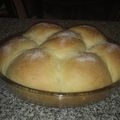 El cooksnap de Celeste Ávila de Lara cuando hizo Brioche de limón🍋.